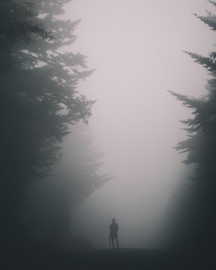 Photo by Blake Cheek on Unsplash
